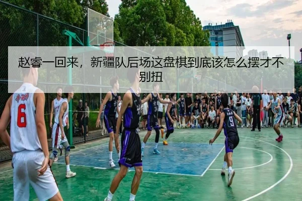 赵睿一回来，新疆队后场这盘棋到底该怎么摆才不别扭